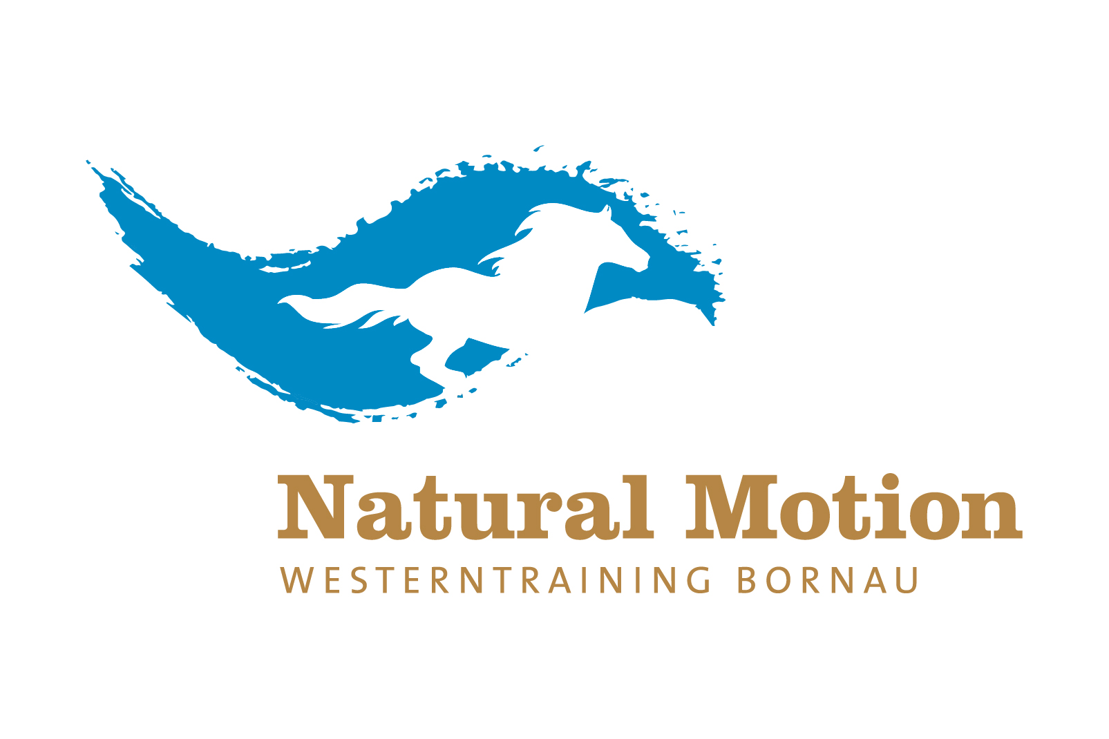 Starterpaket · Natural Motion