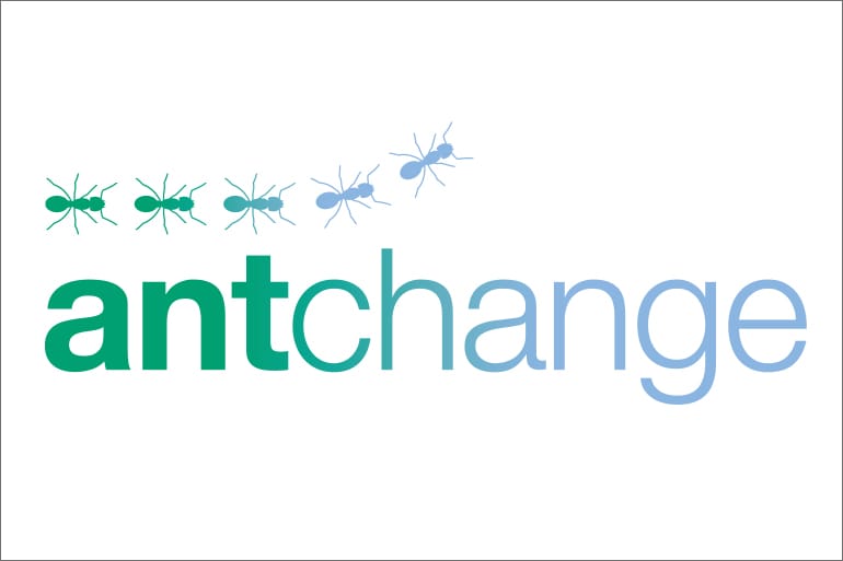 Grundlagenpaket · antchange